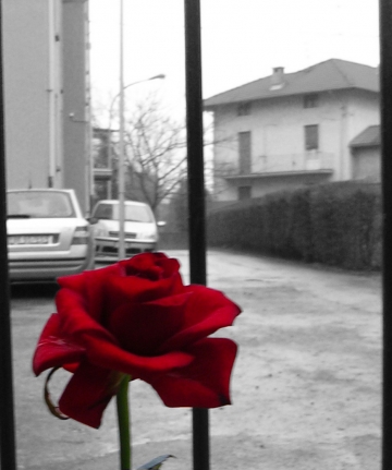 foto news