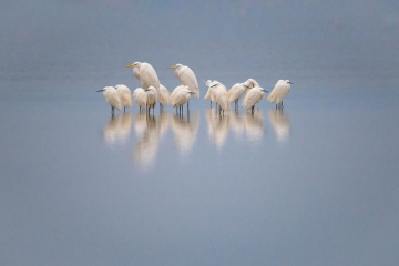 foto news