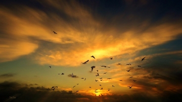 foto news