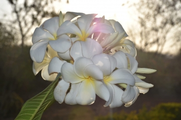 foto news