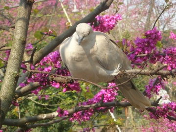 foto news