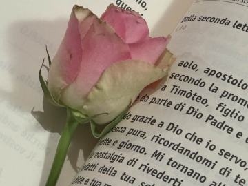 foto news